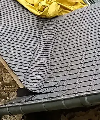 démoussage toiture à Craon - image 4