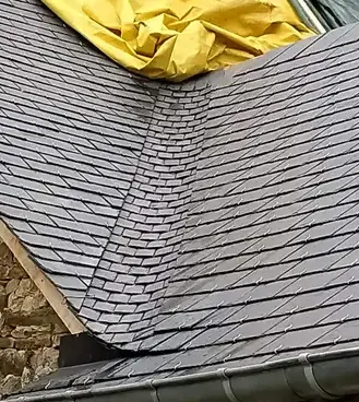 démoussage toiture à Janzé - image 2