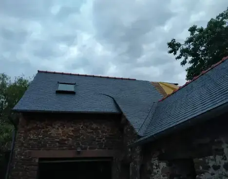 démoussage toiture à Janzé - image 4