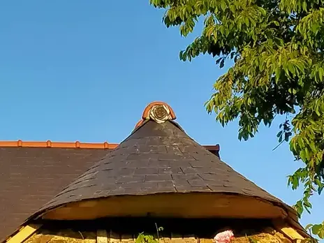 démoussage toiture Janzé-5