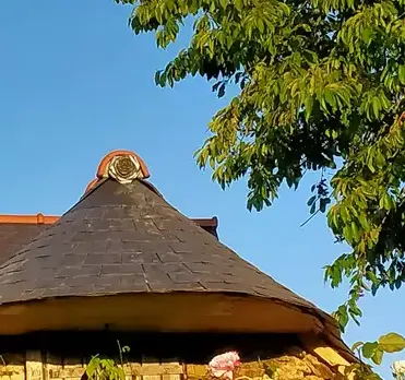 démoussage toiture à La Guerche de Bretagne - image 3