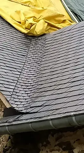 démoussage toiture La Guerche de Bretagne-5