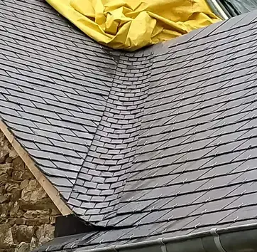 ramonage à Janzé - image 4