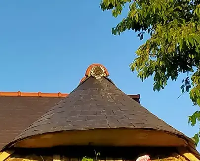 ramonage à Martigné-Ferchaud - image 3