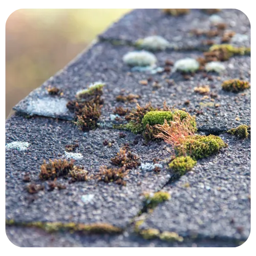 remplacement ardoise chateaubriant